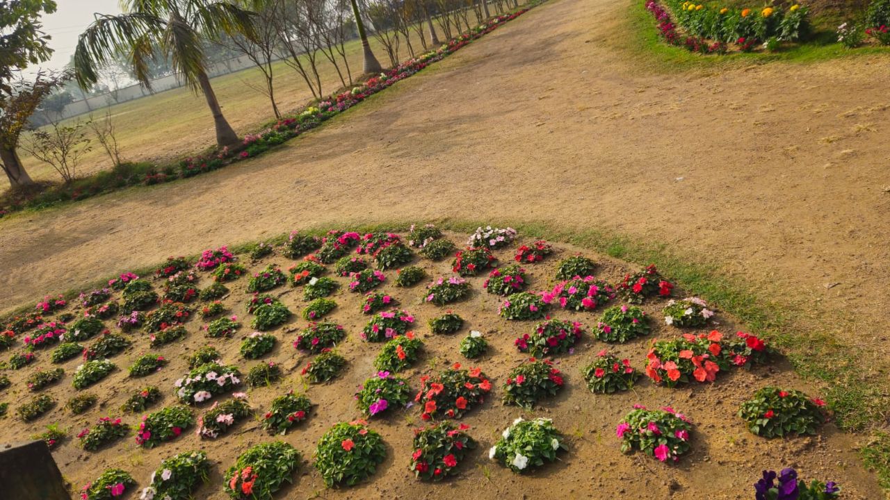 Campus Garden
